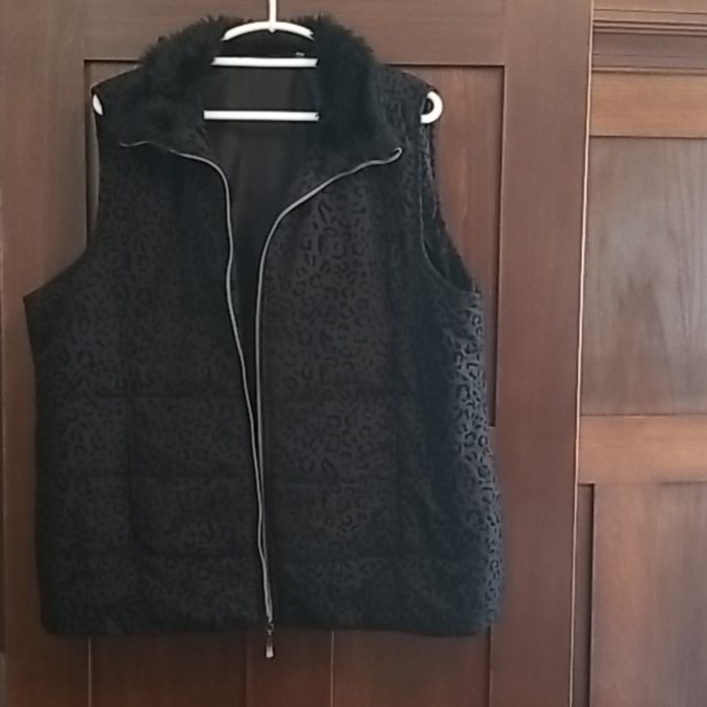 Vest